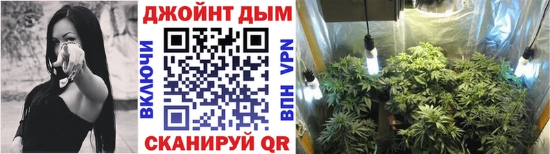 Шишки марихуана VHQ  Купить закладки  Жердевка 